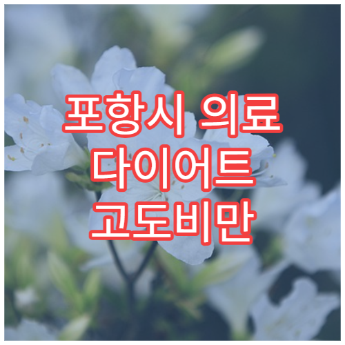 포항시 의료 다이어트 고도비만 맞춤 치료 전문 클리닉 병원