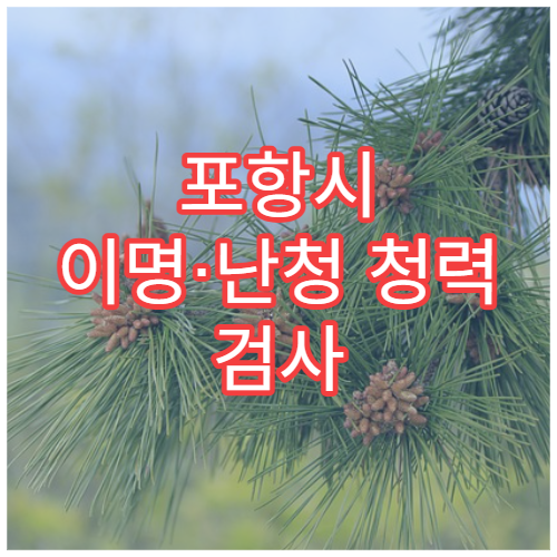포항시 이명·난청 청력 검사 및 보청기 상담 이비인후과 병원