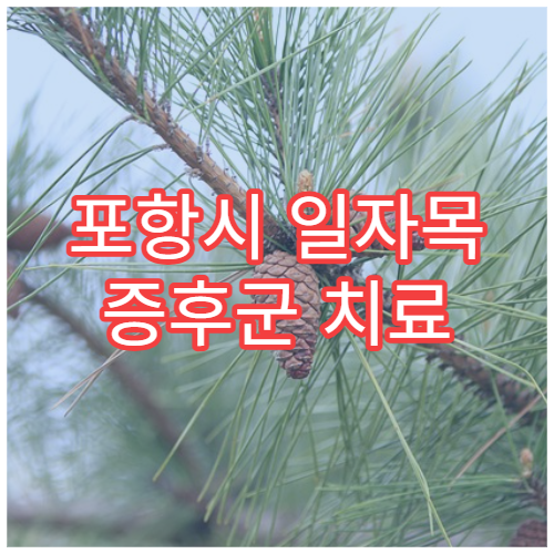 포항시 일자목 증후군 치료 척추 교정 한방·정형외과 병원