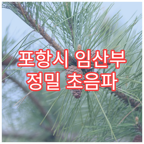 포항시 임산부 정밀 초음파 산전 기형아 검사 산부인과 병원