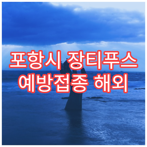 포항시 장티푸스 예방접종 해외 여행자 감염병 예방 병원