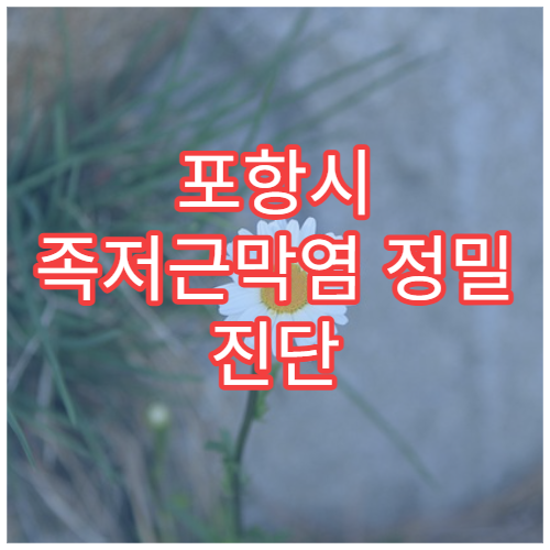 포항시 족저근막염 정밀 진단 치료 재활 전문 정형외과 병원