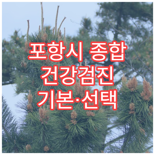 포항시 종합 건강검진 기본·선택 항목 맞춤 설계 가능한 병원