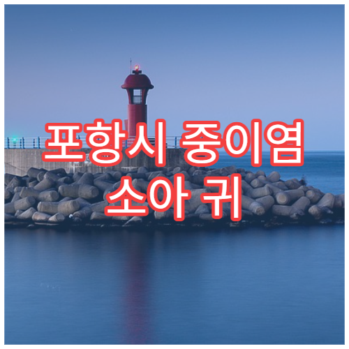 포항시 중이염 소아 귀 통증 치료 및 예방접종 이비인후과 병원