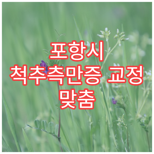 포항시 척추측만증 교정 맞춤 운동 소아 청소년 전문 병원
