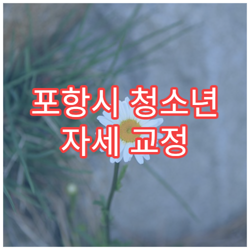 포항시 청소년 자세 교정 성장 관리 정형외과 병원