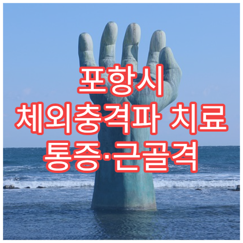포항시 체외충격파 치료 통증·근골격 재활 전문 정형외과