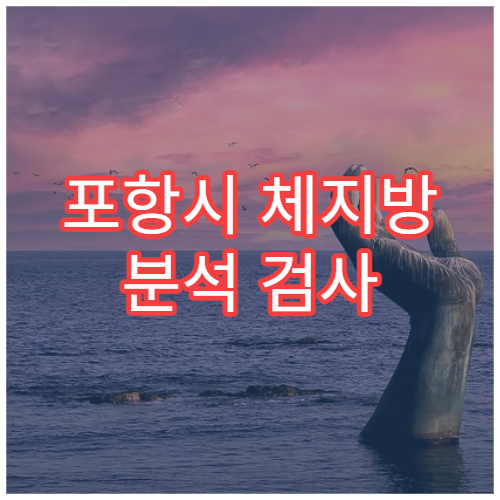 포항시 체지방 분석 검사 비만·대사 질환 관리 건강검진 병원