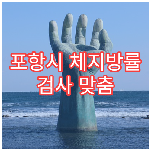 포항시 체지방률 검사 맞춤 다이어트 프로그램 운영 병원