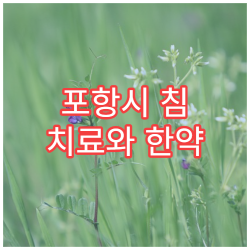 포항시 침 치료와 한약 처방 통합 한방 진료 잘하는 한방병원