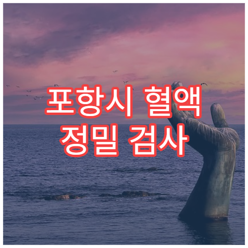 포항시 혈액 정밀 검사 가능한 건강검진 특화 내과 전문 병원
