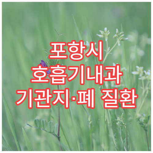 포항시 호흡기내과 기관지·폐 질환 전문 진료 호흡기 치료 병원