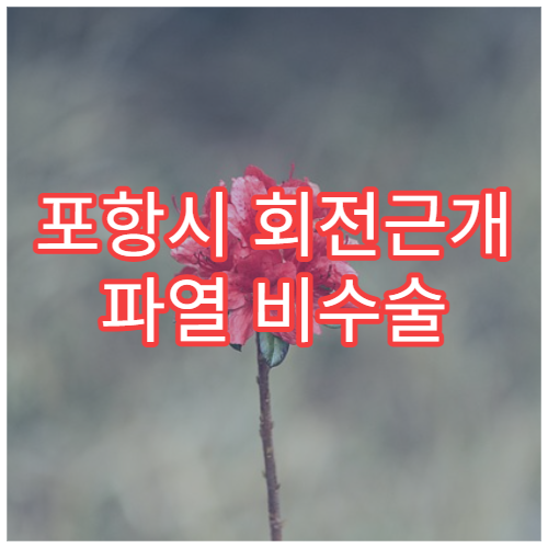 포항시 회전근개 파열 비수술 치료 재활 전문 정형외과 병원