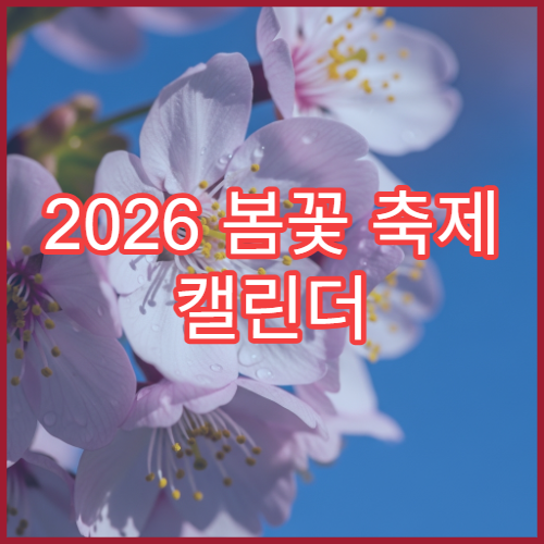 2026 봄꽃 축제 캘린더 (벚꽃·유채·튤립 일정 한눈에)