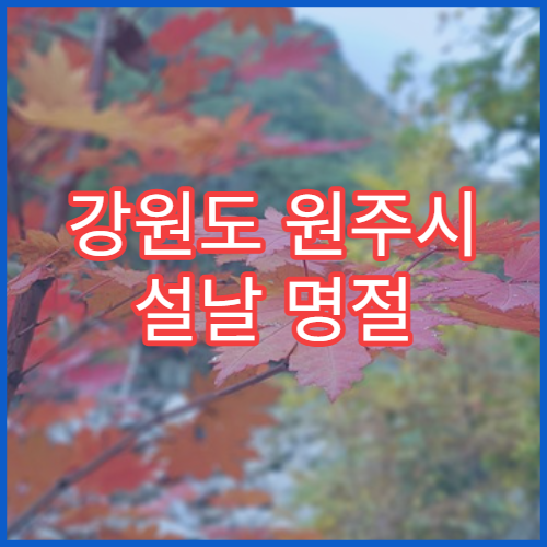 강원도 원주시 설날 명절 노발관절내과 연휴 진료 병원 관절염·류마티스 치료