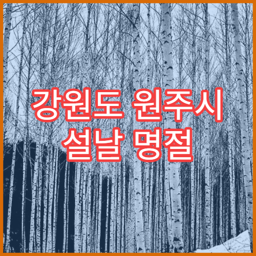 강원도 원주시 설날 명절 비뇨기과 연휴 진료 병원 요로결석·요로감염 치료