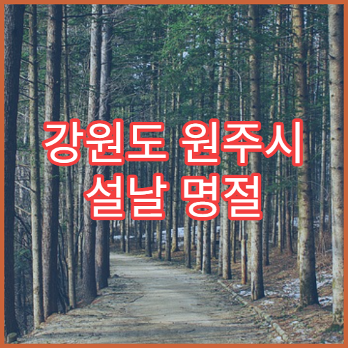 강원도 원주시 설날 명절 산부인과 연휴 진료 병원 생리통·조기진통 상담