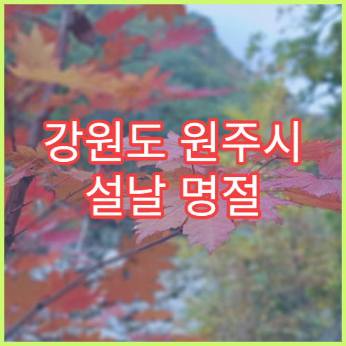 강원도 원주시 설날 명절 소아과 연휴 진료 병원 아이열·기침 치료 안내