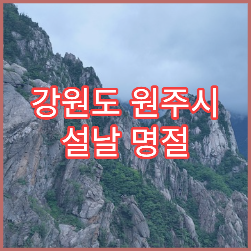 강원도 원주시 설날 명절 신경외과 연휴 진료 병원 두통·디스크 응급 진료