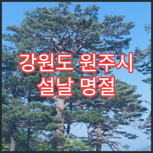 강원도 원주시 설날 명절 안과 연휴 진료 병원 눈통증·시력저하 응급 상담