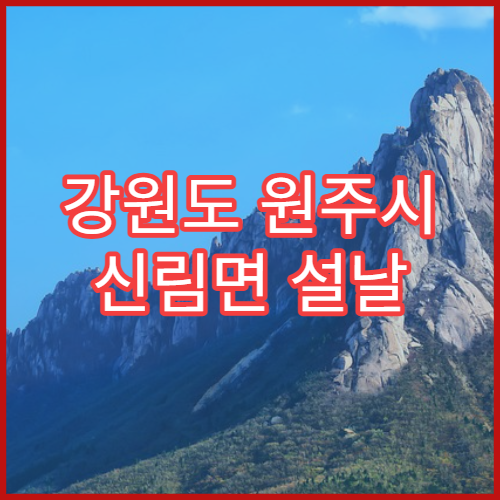 강원도 원주시 신림면 설날 명절 연휴 당직약국 감기·진통제 응급 판매