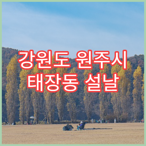강원도 원주시 태장동 설날 명절 연휴 당직약국 심야 24시간 운영 약국