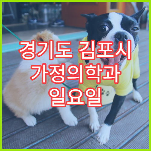 경기도 김포시 가정의학과 일요일 진료 병원 위치와 시간 정보