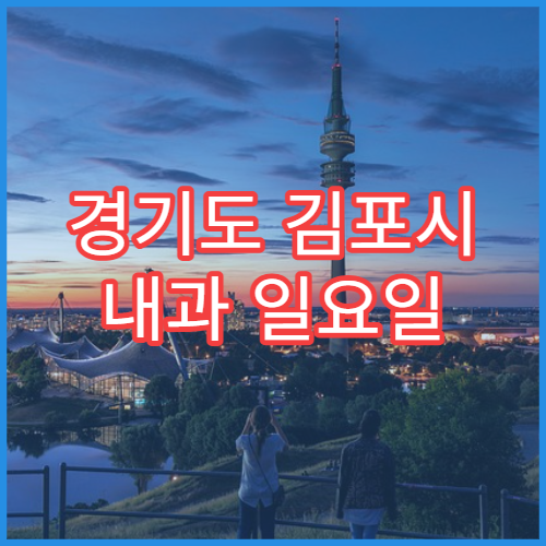 경기도 김포시 내과 일요일 문 여는 병원 휴무일과 진료시간 정리