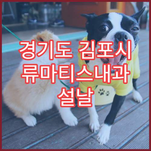 경기도 김포시 류마티스내과 설날 연휴 진료 병원 운영 정보