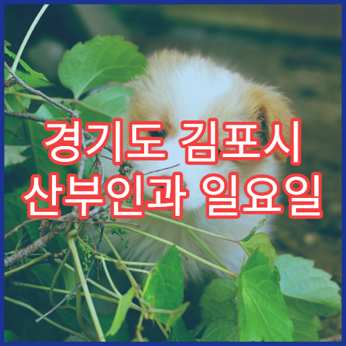 경기도 김포시 산부인과 일요일 응급진료 병원 위치 확인하기