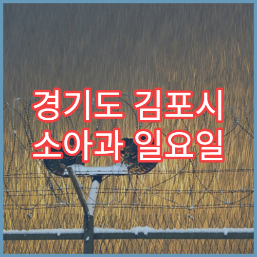 경기도 김포시 소아과 일요일 진료 병원 응급 상황 대처법