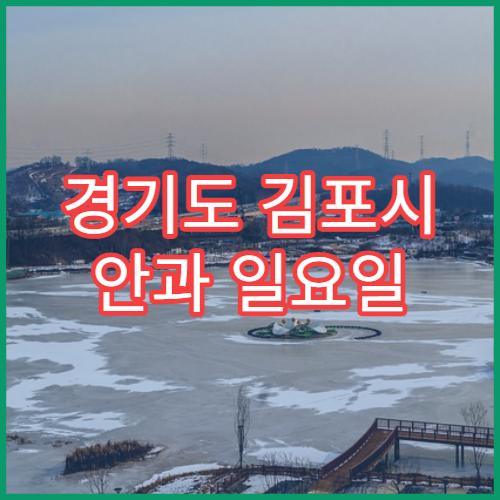 경기도 김포시 안과 일요일 휴일 진료 가능한 병원 위치 정보