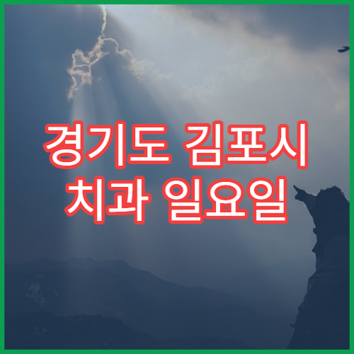 경기도 김포시 치과 일요일 문 여는 병원 예약 가능 시간 확인