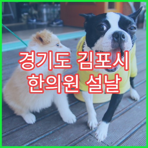 경기도 김포시 한의원 설날 연휴 한방진료 가능한 병원 정보