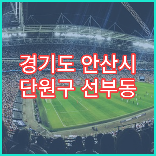 경기도 안산시 단원구 선부동 설날 명절 연휴 24시 약국 선부1·2·3동 달미역 인근 운영