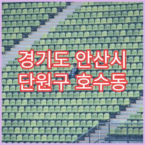 경기도 안산시 단원구 호수동 설날 명절 연휴 당직약국 호수공원·아파트 24시간 처방전 조제