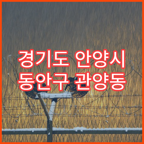 경기도 안양시 동안구 관양동 설날 명절 연휴 문 여는 약국 정보 확인
