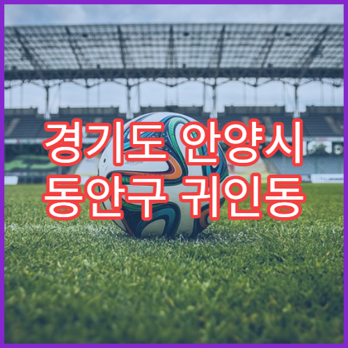 경기도 안양시 동안구 귀인동 일요일 당번약국 일요일 영업 약국 찾기