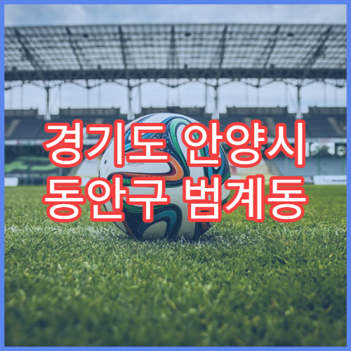 경기도 안양시 동안구 범계동 설날 연휴 당번약국 및 비상약국 정보