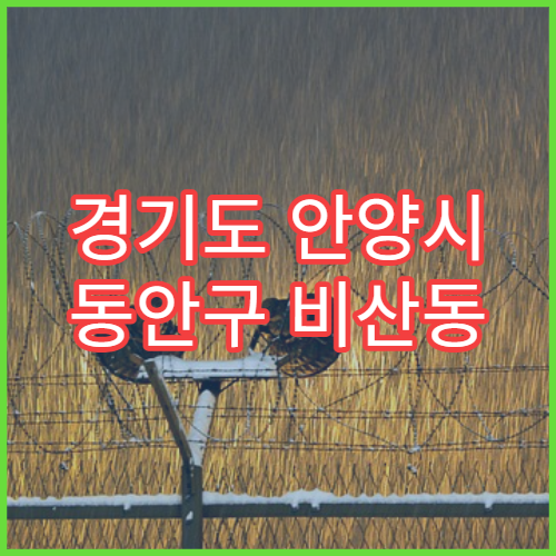 경기도 안양시 동안구 비산동 일요일 당직약국 일요일 문 여는 약국 정보 안내