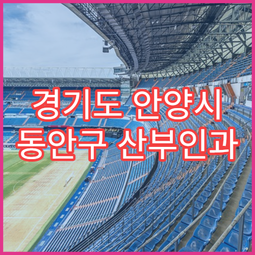 경기도 안양시 동안구 산부인과 일요일 응급진료 병원 위치 확인