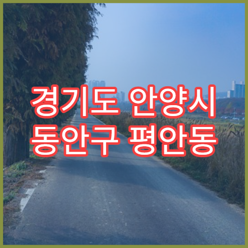 경기도 안양시 동안구 평안동 일요일 당직약국 휴일 운영 약국 위치 안내