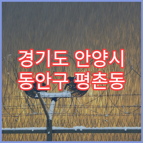 경기도 안양시 동안구 평촌동 일요일 당번약국 문 여는 약국 및 영업시간 정보