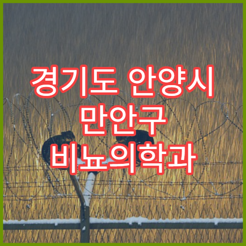 경기도 안양시 만안구 비뇨의학과 일요일 문 여는 병원 시간 정보