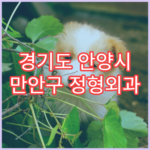 경기도 안양시 만안구 정형외과 일요일 응급진료 병원 시간 정리
