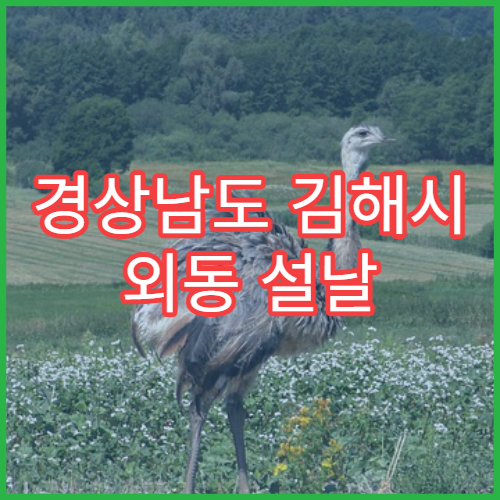 경상남도 김해시 외동 설날 명절 연휴 당번약국 심야 응급의약품 판매 안내