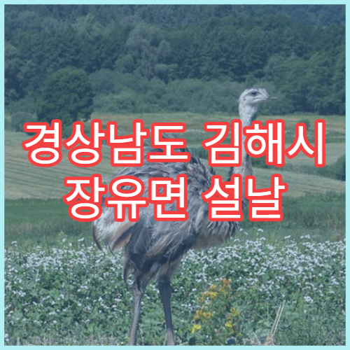경상남도 김해시 장유면 설날 명절 연휴 당번약국 응급의약품 취급 약국 안내