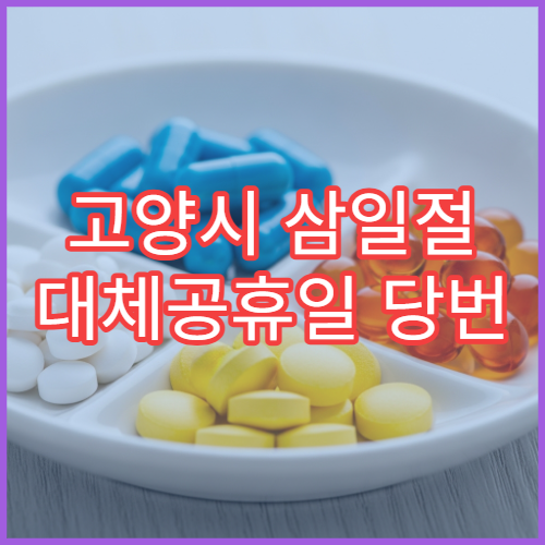 고양시 삼일절 대체공휴일 당번 약국 문 여는 곳 연휴 영업 해열제 진통제 응급약 구입 가능