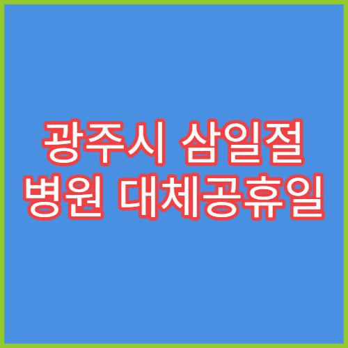 광주시 삼일절 병원 대체공휴일 연휴 응급진료 병원 정리