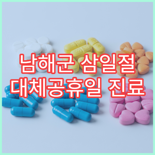 남해군 삼일절 대체공휴일 진료 병원 내과·가정의학과 운영 병원